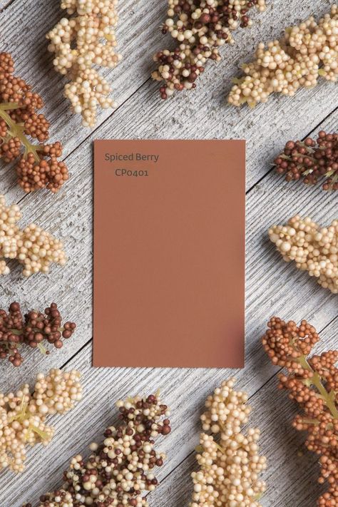 Pumpkin Spice season is in full swing 🎃 Have that feeling all year round in your home with Spiced Berry CP0401! Visit your local Fleetwood stockist to see our extended colour range - Colour Perfect. #fleetwoodpaint #fleetwood #fleetwoodathome #fleetwoodpaints Cavern Clay Color Palette, Terracotta Colour Palette, Terracotta Interior Design, Cavern Clay, Terracotta Color Palette, January Colors, Terracotta Colour, Fleetwood Paint, Color Of The Month