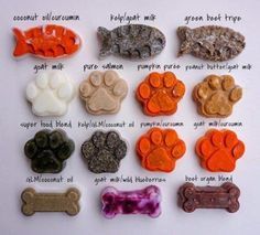 Raw Dog Food Diet, Pet Treats Recipes, Easy Dog Treat Recipes, Healthy Dog Treats Homemade, Easy Dog Treats, Frozen Dog, Dog Treats Homemade Recipes, Diy Dog Treats, Dog Bakery