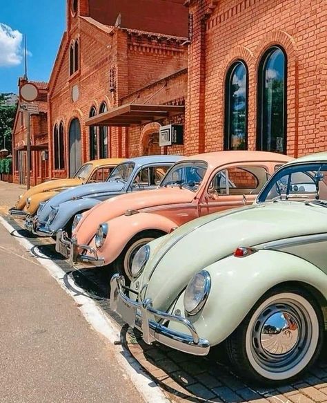 Volkswagen Vintage, Van Vw, Old Vintage Cars, Vw Vintage, Vintage Vw, Classy Cars, Pretty Cars, Vw Beetle, Love Car