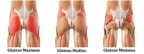 If you want to improve in your big lifts, you need to be able to generate serious power. Learn how with these 7 glute activation exercises. Gluteus Minimus Exercises, Hip Abductor Exercises, Gluteus Medius Exercises, Activation Exercises, Glute Activation Exercises, Band Workouts, Hip Pain Relief, Hip Problems, Gluteal Muscles