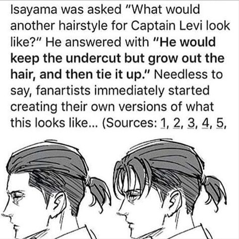 attack on titan (shingeki no kyojin) Levi with hair tied up Levi Ackerman Undercut, Levi Undercut Hairstyle, How To Draw Undercut Hair, Levi With Long Hair, Levi Ackerman Haircut 360, Captain Levi Haircut, Undercut Hairstyles Drawing, Levi Ackerman Long Hair, Levi Ackerman With Tattoos