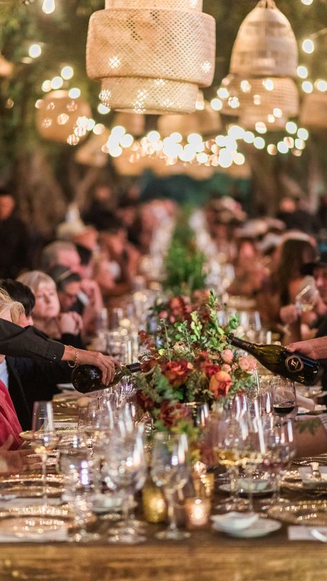 Harvest Dinner, Wine Vine, Olive Grove, Music Sound, A Night To Remember, Transportation, Vines, Sound, Trees