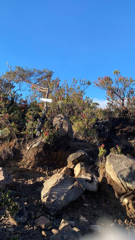 Hiking, Healing