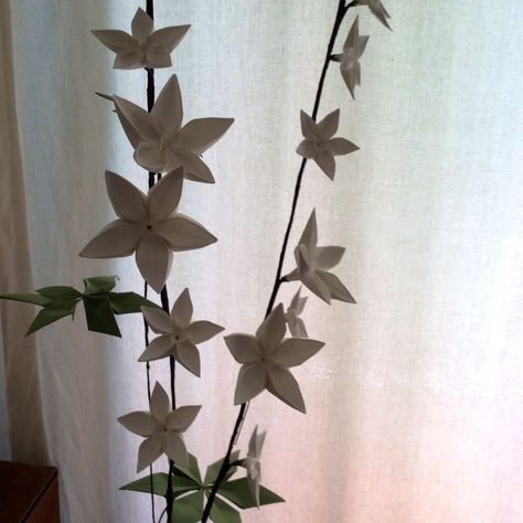 Origami jasmine flowers - twitter.com/foldedflowersuk/status/490233482896224256      www.facebook.com/foldedflowersuk Flower Origami, Jasmine Flowers, Origami Ideas, Jasmine Flower, Flower Template, Flower Tutorial, Flower Images, Home Projects, Printed Shower Curtain