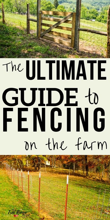 Farm Fencing, Fencing Options, Fence Options, Homesteading Diy, Farm Plans, Backyard Fence, Homestead Farm, Farm Layout, Future Farms