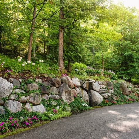 A retaining wall does not just need to be functional--it can be a stunning focal point in landscape design. Rock walls create a perfect environment for many different flower, mosses, and ivy. A mix of perennial and annual flowers create a colorful backdrop from spring to fall.

#rockwall#retainingwall#form#function#annuals#perennial#landscape Rock Retaining Wall Front Yard, Bush Rock Retaining Wall, Moss Rock Retaining Wall, Rockery Retaining Wall, Garden Rock Retaining Wall, Mountain Retaining Wall, Rock Garden Retaining Wall, Boulder Retaining Walls, Cascading Plants Retaining Walls