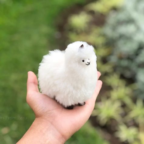 Handmade Mini Alpaca, Llama Love Alpaca Fur Stuffed Animal Ideal for Decor & Gifting - Etsy Peru Mini Alpaca, Alpaca Stuffed Animal, Buy Handmade, Llama, Stuffed Animals, Stuffed Animal, Pet Toys, Alpaca, Peru