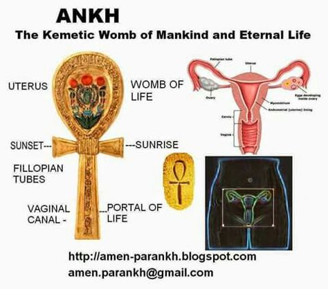 The ankh symbolize the women womb Ankh Meaning, Kemetic Spirituality, Tattoos Black Women, Ankh Symbol, African Symbols, The Ankh, History Professor, African Spirituality, Egyptian Symbols