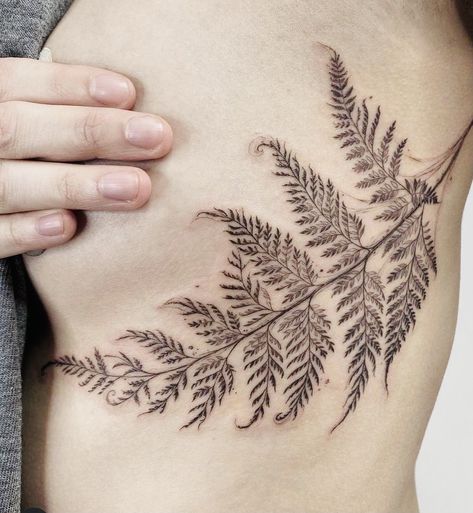 Fern Tattoo, Small Tats, Plant Tattoo, Fern Leaf, Never Again, Simplistic Tattoos, Art Sketch, Line Tattoos, Skin Art