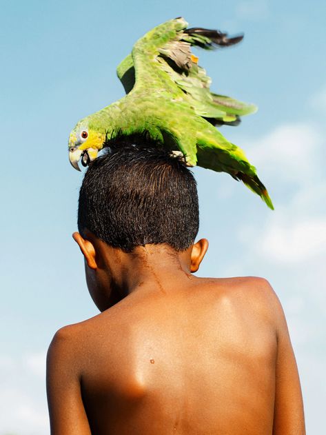 Serene and fluid, Gleeson Paulino’s photo series gives baptism a new meaning Brazil Culture, Photo Series, Folk Music, South America, Rio De Janeiro, Fish Pet, A Man, Art Reference, Brazil