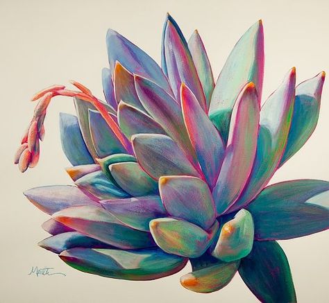 "Sunburst" - Acrylic on Paper, Succulent Paintings www.athenamantle.com Sunburst Art, Succulent Painting, Succulent Art, Cactus Art, Acrylic Painting Techniques, Art And Illustration, Botanical Illustration, Botanical Art, 그림 그리기