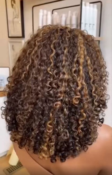 Dyed Curly Hair No Bleach, Highlights On Mixed Curly Hair, 4c Honey Blonde Highlights, Curl Hair With Highlights, Color Curly Hair Black Women, Blond Balayage With Dark Roots, As I Am Color Curl, Hair Highlight Patterns, Colored Hair For Curly Hair