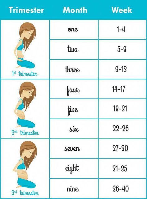 Pregnant women are always on their toes to know when they will give birth to the baby. So to help you out, here is our pregnancy calculator week by week. Weeks To Months Pregnant, Pregnancy Chart, Pregnancy Calculator, Pregnancy Info, Baby Kicking, Pregnancy Information, Pumping Moms, Baby Sleep Problems, Mom Junction