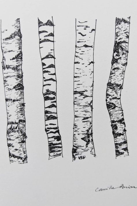 Different birch tree barks, exploring textures and designs for art inspiration for Project Roots. Drawing Bark Texture, Bark Drawing Texture, How To Draw A Birch Tree, Birch Tree Roots, Birch Tree Sketch, Birch Trees Drawing, Tree Bark Sketch, Tree Texture Drawing, Tree Bark Drawing