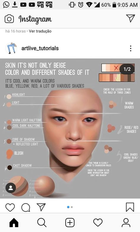 Skin Tone Mixing Chart, Skin Painting Tutorial Digital Art, Skin Tone Mixing, Digital Painting Tips, Skin Tone Chart, Procreate Inspiration, References To Draw, Skin Undertones, Colour Hair