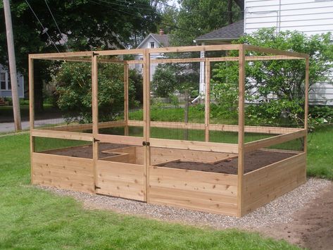 Raised Garden Bed Enclosure, Enclosed Raised Garden Beds Diy, Deer Proof Garden, Garden Enclosures, Garden Enclosure Ideas, Garden Enclosure, Fence Planning, Gardening Food, Fenced Vegetable Garden