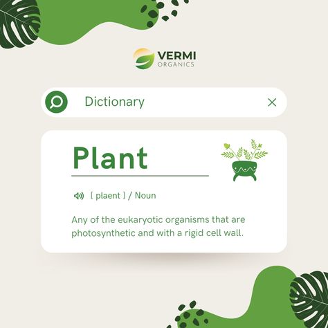 Discovering the Essence of Plant 🌱✨ #embracenature #plantpassion #plants #dictionary #plantlove #vermiorganics Dictionary Graphic Design, Dictionary Design Ideas, Pubmat Ideas, Dictionary Meaning, Plant App, Pc Desktop Wallpaper, Standee Design, Desk Plants, Japanese Phrases