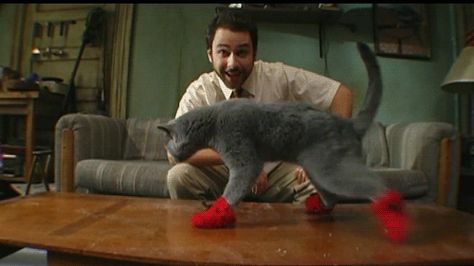 And of course, Kitten Mittens. | 22 Totally Ludicrous Products For Cat Owners Its Always Sunny In Philadelphia, Kitten Mittens, Charlie Kelly, Charlie Day, International Cat Day, Knitting Diy, Always Sunny In Philadelphia, It's Always Sunny In Philadelphia, Sunny In Philadelphia