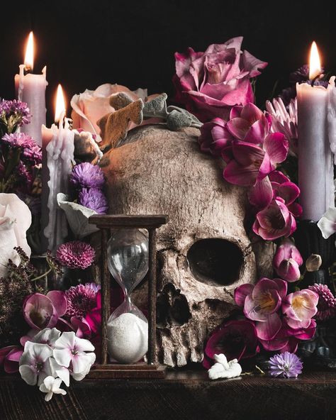 Alyssa Thorne on Instagram: “❣️Please swipe for full piece!❣️ This is a work I made in collaboration with my lovely friend @graveyardwanders - who provided the…” Vanitas Paintings, Foto Art, A Skull, Memento Mori, Still Life Painting, Art Plastique, Giclee Art, Giclee Art Print, Dark Art