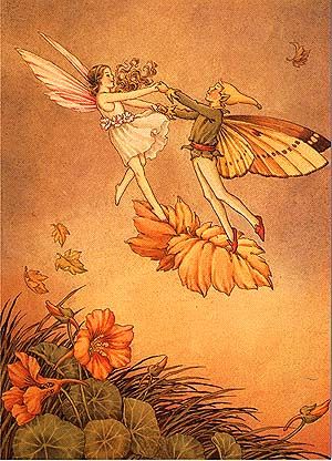 Old Orange Aesthetic, Orange Fantasy Aesthetic, Orange Magic Aesthetic, Ida Rentoul Outhwaite, Arte Indie, Fairies Dancing, Autumn Orange, Autumn Fairy, Fairy Illustration