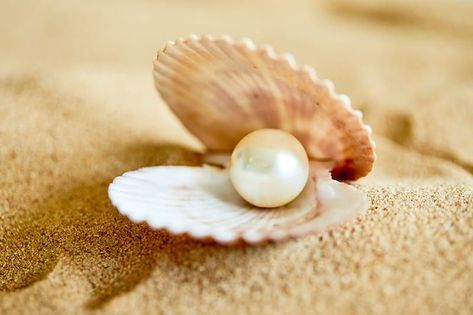 Shells Aesthetics, Pearl In A Shell, Pearl In Shell, Royal Interior, Shell With Pearl, Baby Shower Fruit, Lucky Wallpaper, Pearl Farm, Golden Pearl