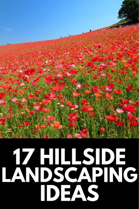 Living in the hills is beautiful... until you have to landscape it. Here, we share 17 of the most beautiful hillside landscaping ideas to add some color to your yard (while also being practical)! Read more at OwnTheYard.com! Landscaping For House On Hill, Landscape Sloped Side Yard, California Hillside Landscaping, Landscape Steep Hill, What To Plant On A Hillside, Hill Flower Bed Ideas, Small Hillside Landscaping Ideas, Downhill Backyard Ideas, Hillside Landscaping Drawing