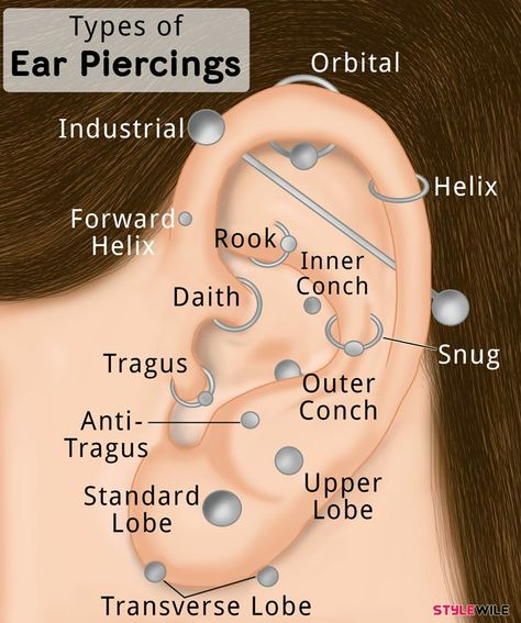 Kinds Of Ear Piercings, Piercing Diagram, Ear Piercing Diagram, Ear Piercing Types, Full Ear Piercings, Ear Piercing Names, Piercing Types, Getting Your Ears Pierced, Different Ear Piercings