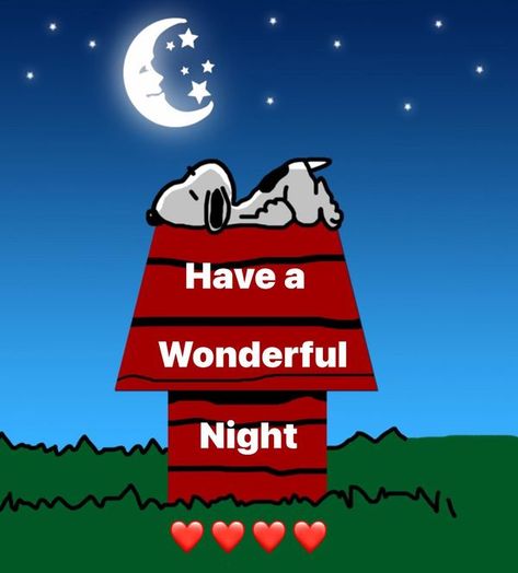 Snoopy is awesome | Have a wonderful evening | Facebook Have A Wonderful Evening, Snoopy Evening, Good Night Snoopy, Goodnight Snoopy, Have A Great Night, Snoopy Pictures, Snoopy Love, Peanuts Gang, Good Evening