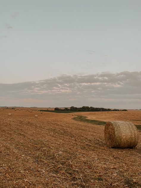 Hay Bale Aesthetic, Corn Fields Aesthetic, Fall Western Wallpaper, Corn Field Aesthetic, Cornfield Aesthetic, Season Corn, Harvest Aesthetic, Farming Aesthetic, Wallpaper Western