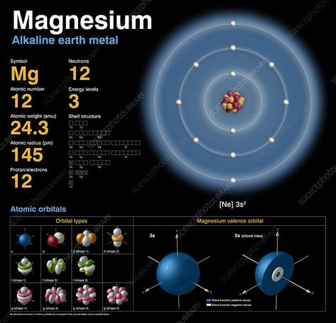 Magnesium, atomic structure - Stock Image - C018/3693 - Science Photo Library Chemistry Organic, Alkaline Earth Metals, Science Infographics, Wave Function, Noble Gas, Chemistry Classroom, Electron Configuration, Atomic Number, Atomic Structure