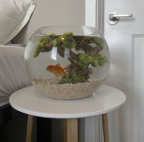 Cute Small Fish Tank Ideas, Cute Fish Tank Decor, Goldfish Tank Setup, Cute Fish Tanks, Fish Bowl Aesthetic, Aquarium In Bedroom, Peceras Aesthetic, Home Aquarium Aesthetic, Aesthetic Fish Tank