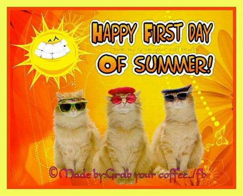 Happy first day of summer First Day Of Summer Quotes Funny, First Day Of Summer Quotes, Summer Quotes Summertime, Happy First Day Of Summer, First Day Of Summer, Summer Quotes, Good Morning Happy, Fun Cup, Good Morning Good Night