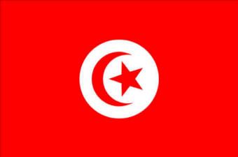 Tunisia Tunisia Flag, Alphabet U, Xmas Jokes, Army Reserve, World Flags, Flags Of The World, Tunisia, Ac Dc, World Cup