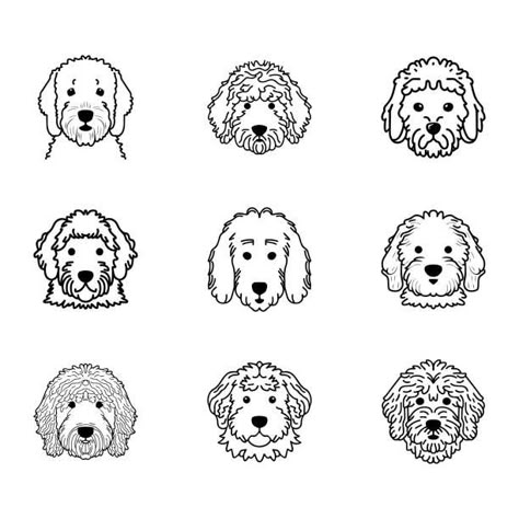 20,500+ Golden Doodle Stock Illustrations, Royalty-Free Vector Graphics & Clip Art - iStock | Labradoodle, Golden retriever, Dog Cockapoo Dog Drawing, Golden Doodle Cartoon Drawing, Golden Doodle Drawing Easy, Golden Doodle Silhouette, Labradoodle Outline, Golden Doodle Sketch, Golden Doodle Tattoo Outline, Golden Doodle Outline, Golden Doodle Illustration