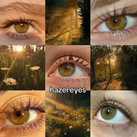 Types Of Hazel Eyes, Hazel Eyes With Gold Flecks, Hazel Color Aesthetic, Gabby Aesthetic, Hazel Eyes Aesthetic, Dark Hazel Eyes, Character Characteristics, Unique Eye Color, Pretty Eyes Color