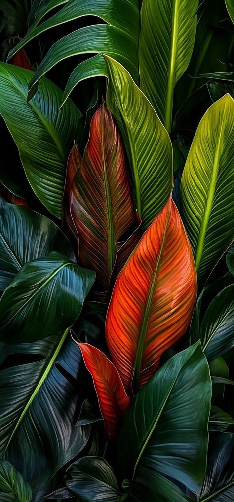 Floral wallpaper with lush tropical plants close-up Mom Besties, Motivation Art, Jobs In Art, Oil Painting Inspiration, Tropical Background, Jungle Leaves, Plant Background, Art Terms, Plant Wallpaper