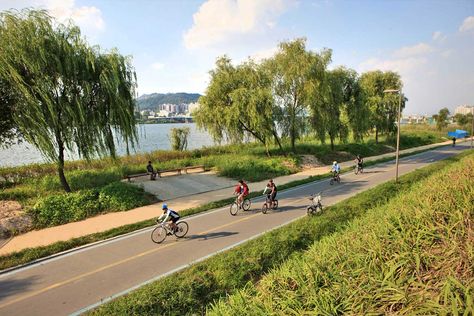 Han River Bike Rental Hangang River, Forever Winter, Han River, Bike Lane, Architecture Ideas, River Park, Bike Rental, Ipad Wallpaper, Bike Ride