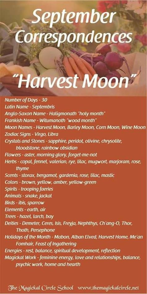 Monthly Correspondences, Full Moon Names, Corn Moon, Moon Zodiac, Moon Meaning, Moon Names, Moon Spells, Month Of September, Moon Journal