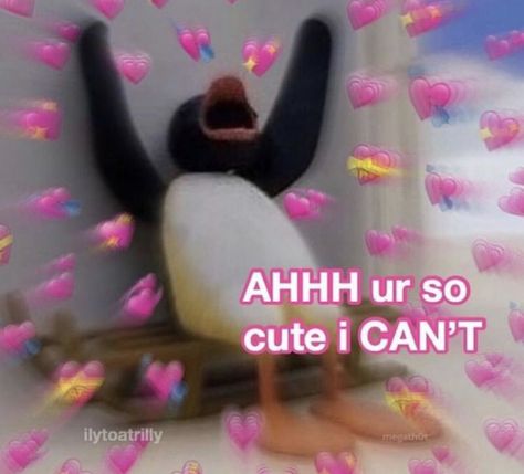 Flirty Memes, Gf Memes, Love Cartoon, Wholesome Pictures, Response Memes, Meme Meme, Snapchat Stickers, Cute Love Memes, Crush Memes