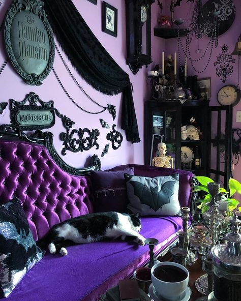 Queenie Black on Instagram: “Cat in the Bat room. Mr Meow’s room of choice to sloth in  is the Purple Parlor. He’s a big healthy boy resting all day so he can roam all…” Goth Daybed, Red Goth Room, Dracula Bedroom, Goth Living Room Decor, Haunt Furniture, Black And Red Room Aesthetic, Red And Black Living Room, Vampire Room, Goth Living Room