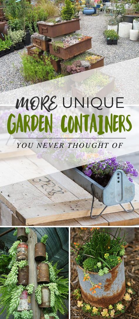 More Unique Garden Containers You Never Thought Of... • The Garden Glove Unusual Planter, Old Tool Boxes, Creative Planter, Chicken Feeders, Upcycle Garden, Tool Boxes, Garden Containers, Creative Gardening, Unique Gardens