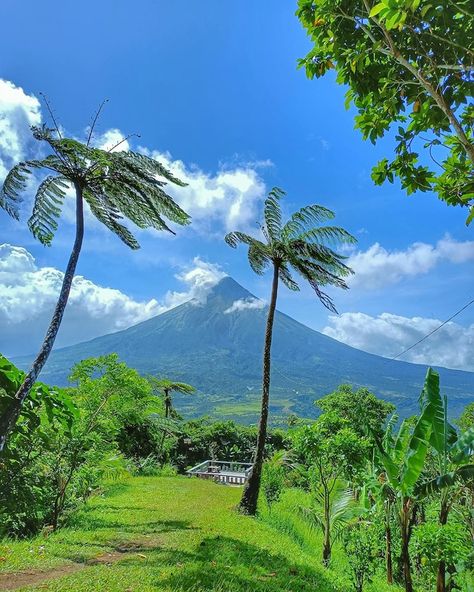 Albay Philippines, Mount Mayon, Davao City, Best Shots, Davao, Philippines Travel, A Town, Rice Cakes, Travel Agency