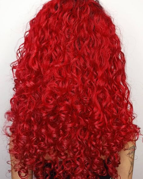 Bright Red Curly Hair, Red Hair Tips, Bright Red Hair Color, Exotic Hair Color, Cherry Red Hair, Shades Of Red Hair, Dyed Curly Hair, Red Curls, Rock Hairstyles