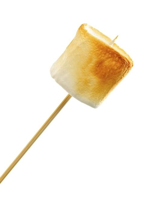 How to Roast a Marshmallow Marshmallow On A Stick, Roasted Marshmallow, How To Roast, Roasting Marshmallows, Marshmallow Fluff, On A Stick, Confectioners Sugar, A Stick, Egg Whites