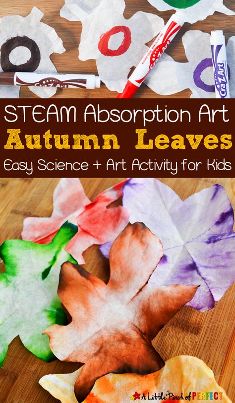 Autumn Leaves STEAM Absorption Art and Free Template - Absorption Art, Big Crafts, Easy Kid Activities, Autumn Leaves Craft, Fall Preschool Activities, Fall Lessons, Fall Stem, Tree Study, Preschool Fall