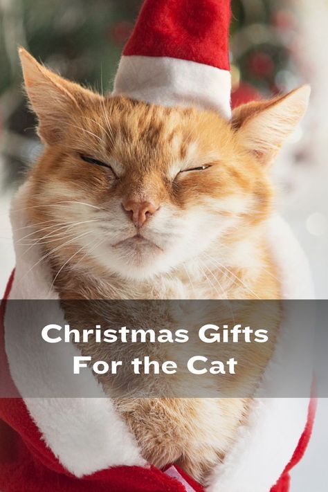 Don't forget to include your feline friend in the holiday festivities! Christmas is the perfect time to spoil your cat with new toys and treats. But with so many options available, it can be hard to know which ones to choose. That's why we've put together a guide to the best Christmas gifts for cats. From interactive toys to cozy beds, our guide has everything you need to know to choose the perfect gift for your feline friend this holiday season. Cat Christmas Presents, Cat Christmas Gifts Ideas, Cat Gifts For Cats, Christmas Gifts For Cat Lovers, Christmas Gifts For Cats, Cat Christmas Gifts, Christmas Presents For Cats, Gifts For Cats, Cat Gift Ideas