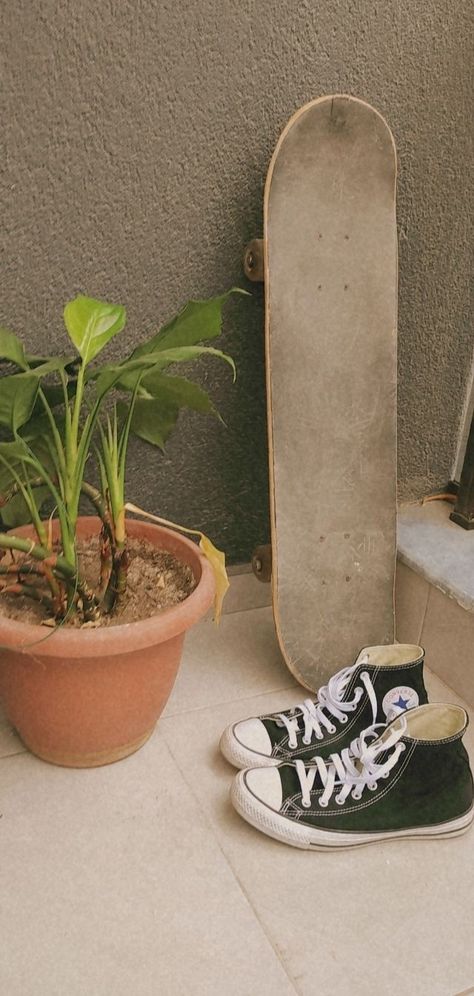 #skateboard #converse #plant #wallpaper #skate #sneaker Converse Skateboard, Star Converse, Shoes Photography, All Stars Converse, Plant Wallpaper, Skate Shoes, Still Life, All Star, Skateboard