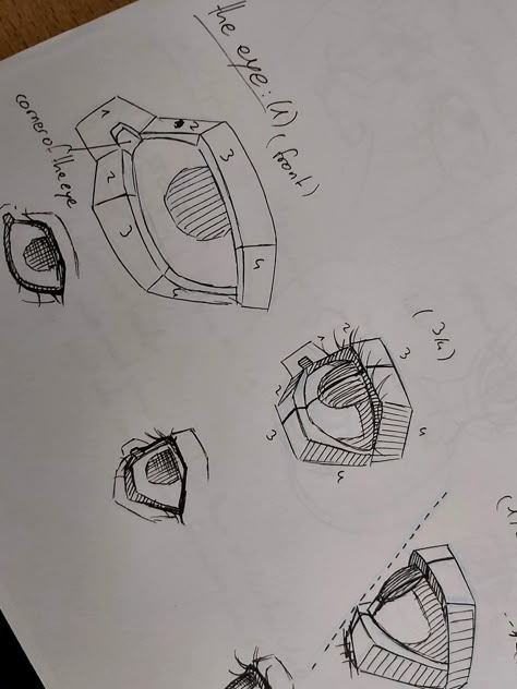 Face Structure Drawing, Nose Anatomy, How To Draw A Nose, Draw A Nose, Eye Structure, Eye References, Eye Study, How To Draw Eyes, Eye Anatomy