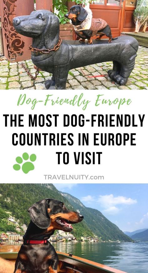 Looking for the most dog-friendly countries in Europe? These nine countries are all very dog-friendly, and great for travelling to with your dog. Use this list to plan your next trip with your pup! Dog Traveling, Nordic Travel, Road Trip With Dog, Dog Friendly Vacation, Animal Encounters, Countries In Europe, Road Trip Europe, 7 Continents, Hiking Dogs