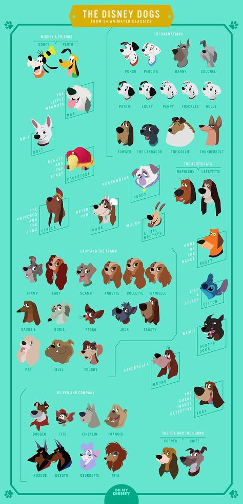 Stitch es un perro *Pikachu* Viví engañada😶 Different Types Of Dogs, Disney Nerd, Disney Dreams, Disney Dogs, 강아지 그림, Disney Animals, Pinturas Disney, Types Of Dogs, Disney Life